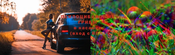 наркотики Арсеньев